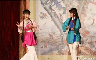 黄梅戏对花视频,花视频中的经典瞬间