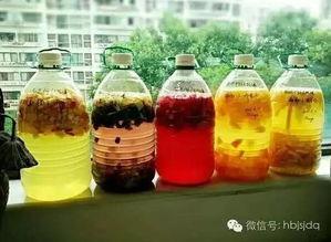 环保酵素视频,绿色生活新选择，视频揭秘制作与妙用