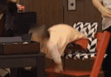 米粒摔视频,捕捉生活琐碎中的温馨瞬间