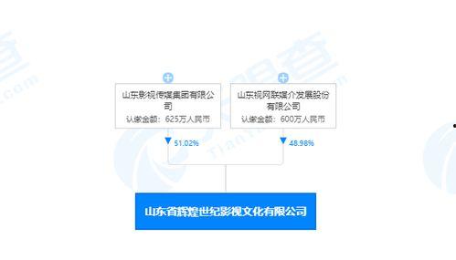 视频版权出售,揭秘视频版权出售背后的商业奥秘