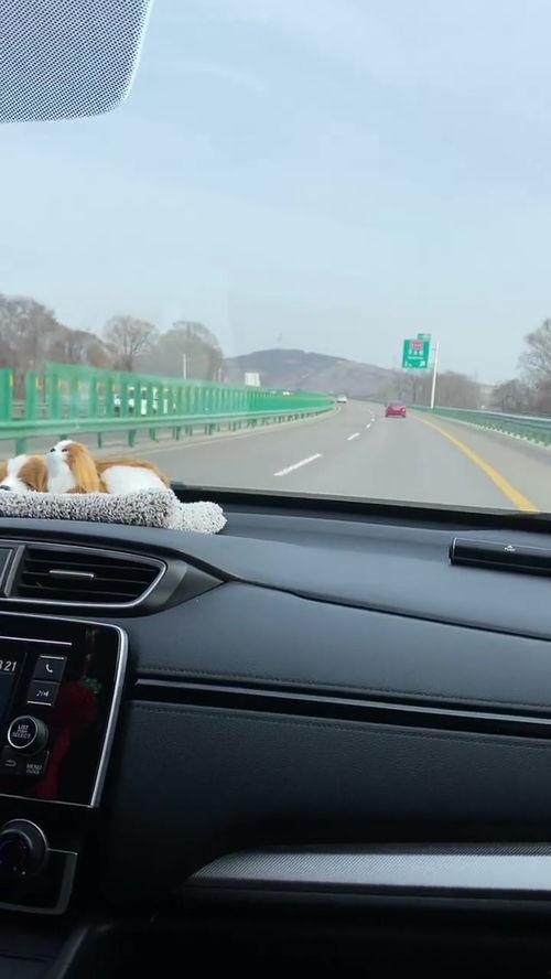 汽车试驾视频,深度解析汽车试驾视频亮点