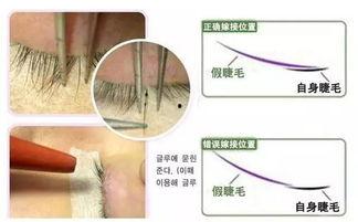 怎样嫁接睫毛视频,跟随视频轻松打造浓密卷翘睫毛