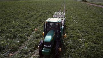 农业视频下载,解锁农业知识宝库