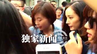 假杨幂视频在线,网络迷雾中的真相探寻