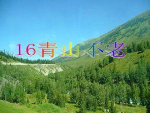 青山不老视频