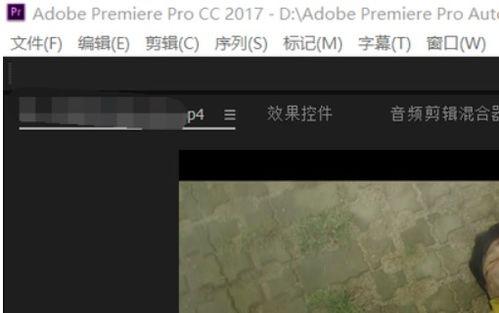 p 视频,揭秘其独特魅力与内涵