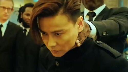 张晋视频,一招一式尽显中华武术魅力