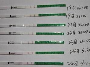 排卵试纸怎么用视频,轻松掌握视频概述