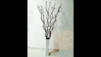 柳花视频,捕捉生活美好瞬间，记录时代印记