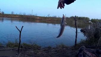 河流钓鱼视频,捕捉自然之美与宁静时光