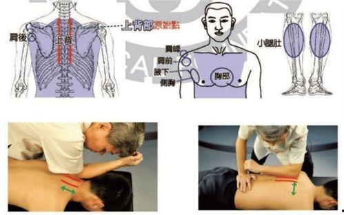 原始点疗法视频,视频解析其核心原理与实际应用
